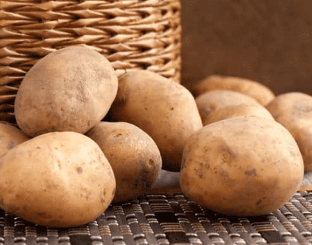 Potatoes easy to grow indoors