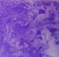 Sweet Violet Bath Milk