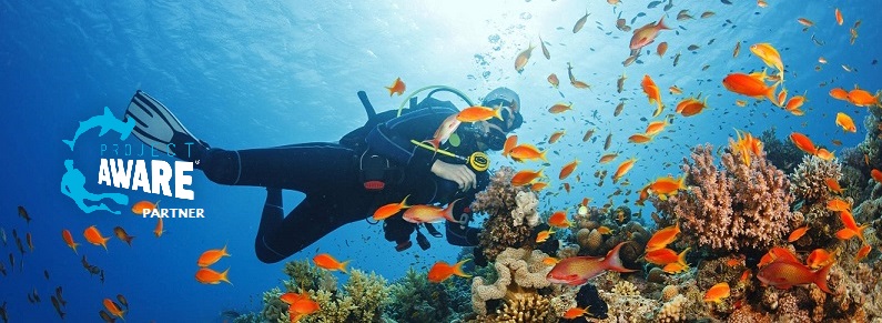 Learn to scuba dive with us