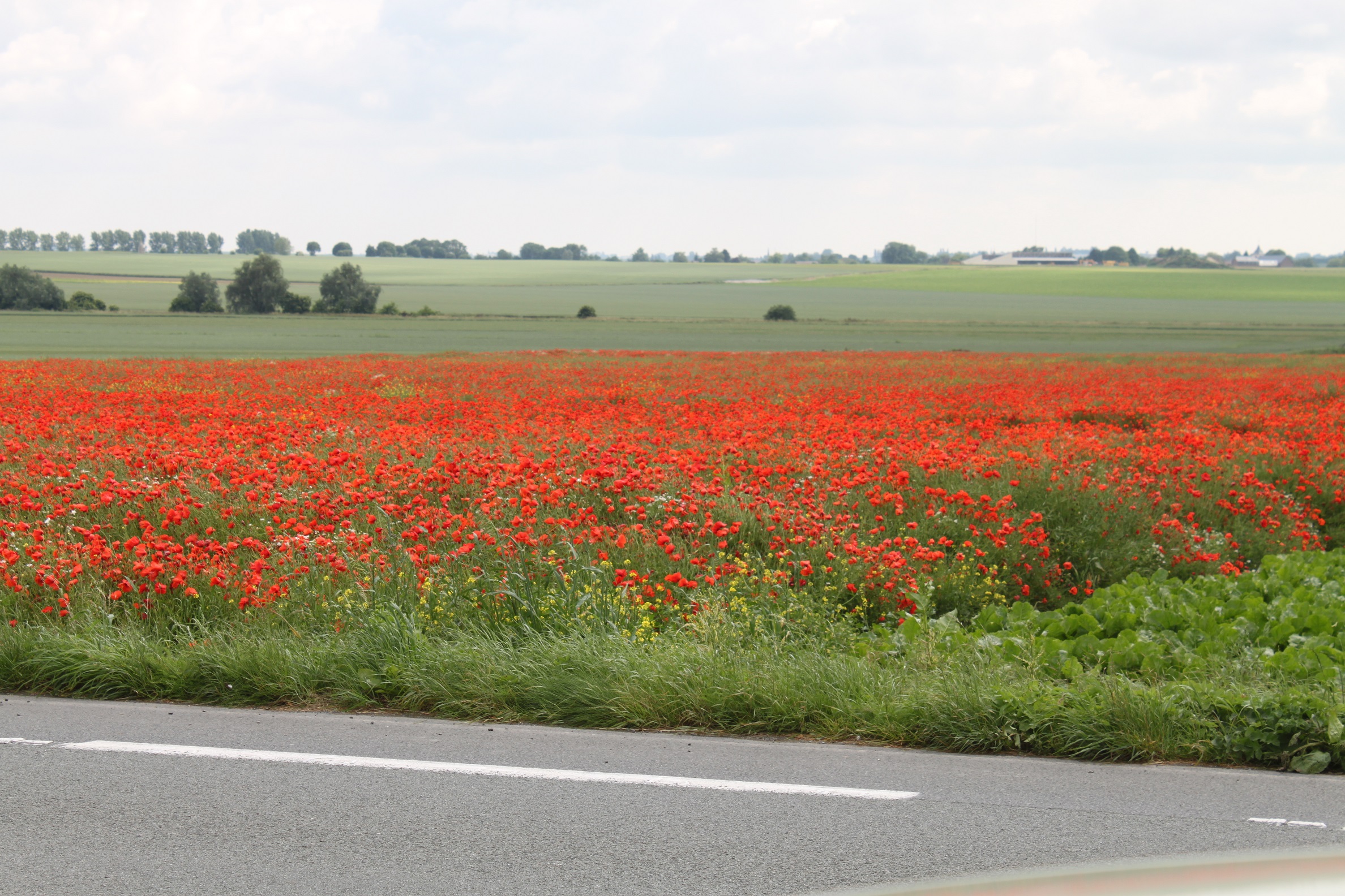the somme battlefield tour