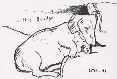 David Hockney - Little Boodge