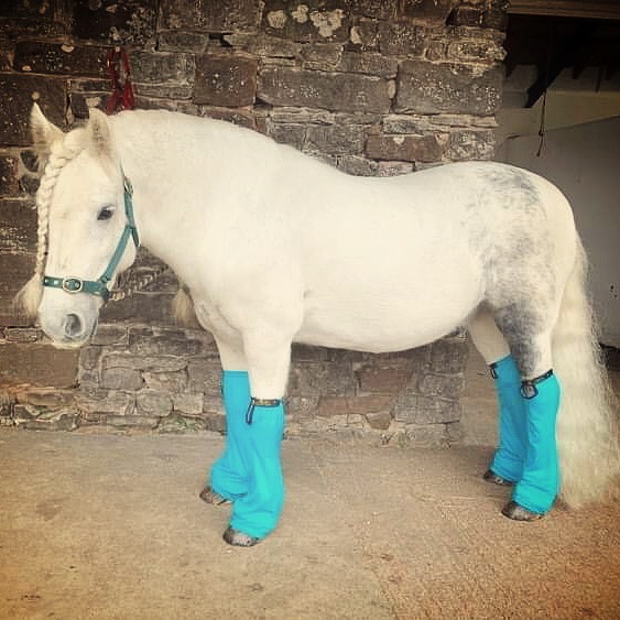 Trophy Tails Lyra Leg Socks© - Bubblegum Blue