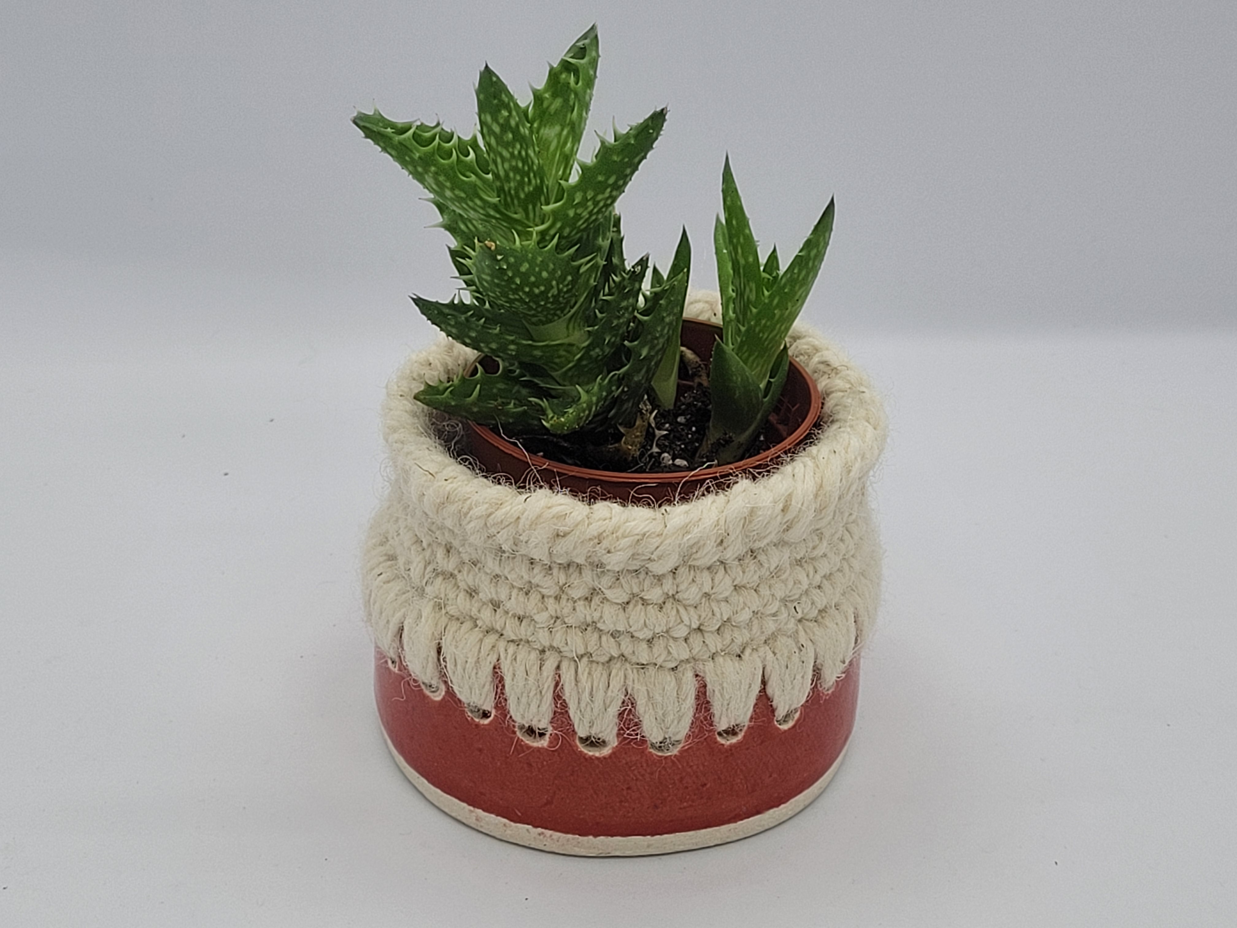 Succulent pot