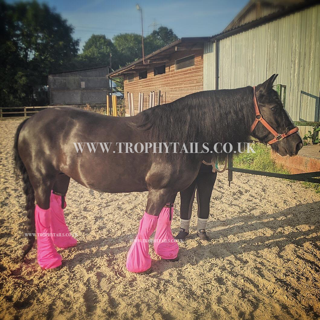 Trophy Tails Lycra Leg Socks© - Neon Pink
