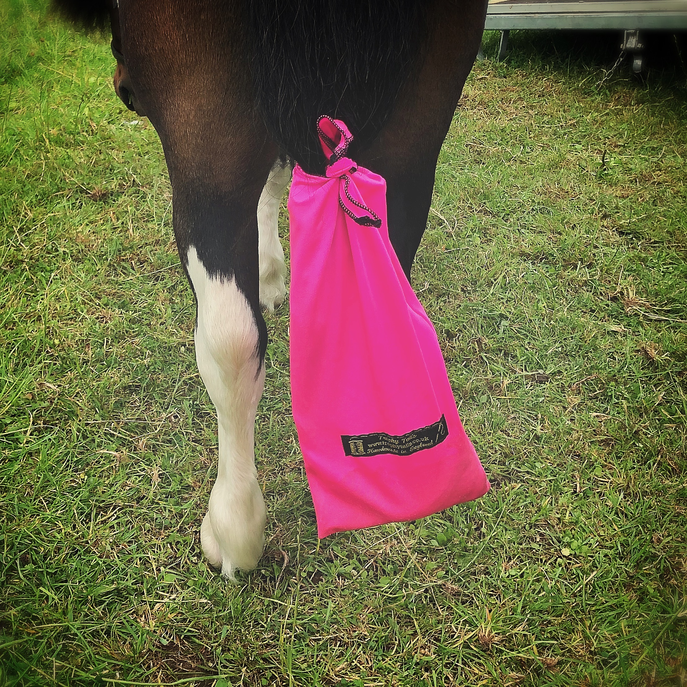 Lycra Tail Bag - Neon Pink