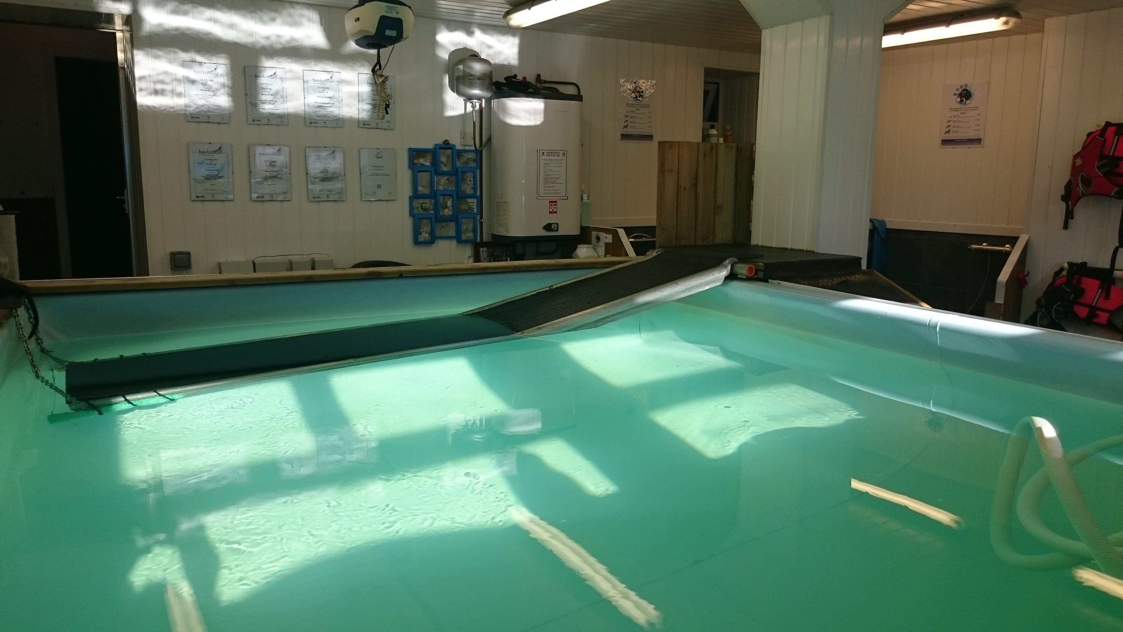 Facilities at the Solway Canine Hydrotherapy Centre Dumfries south west Scotland