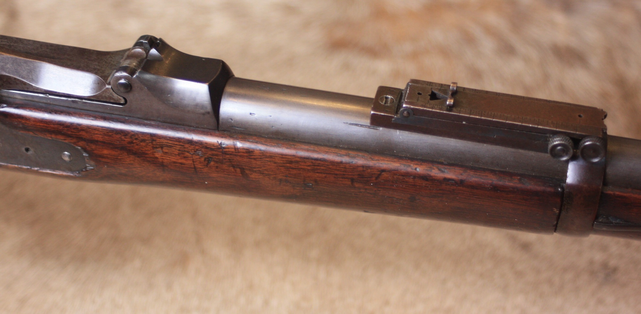 Springfield 1884 Trapdoor .45-70 Service Rifle