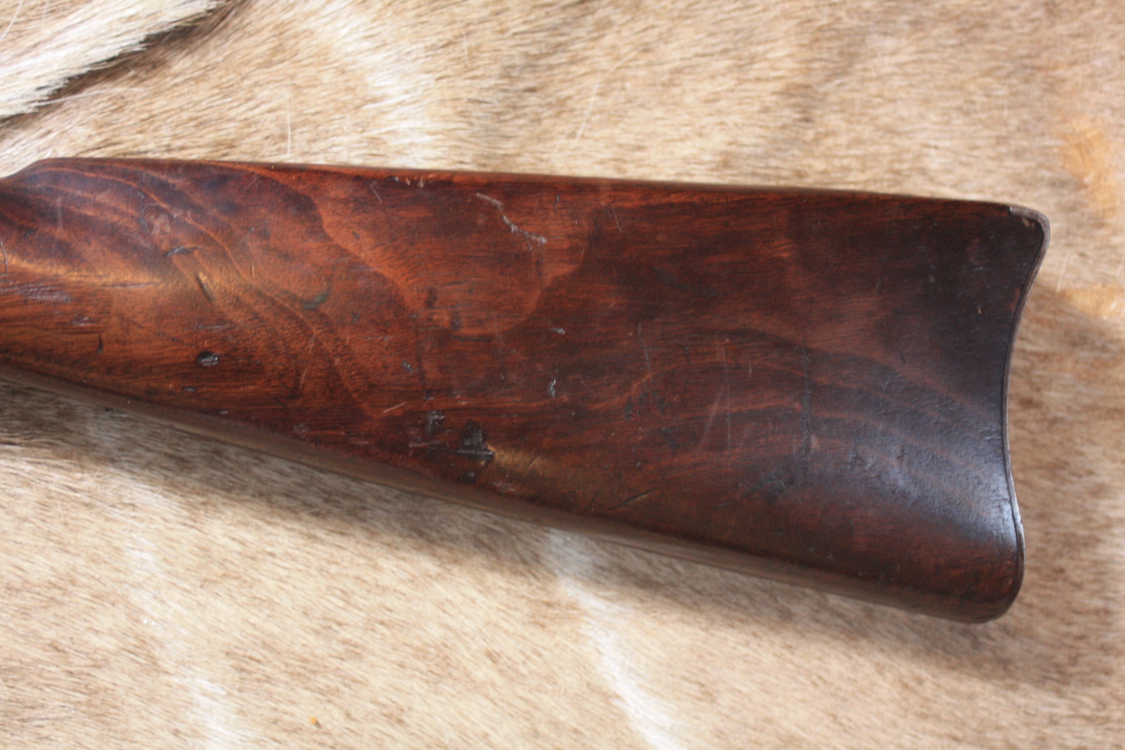 Springfield 1884 Trapdoor .45-70 Service Rifle