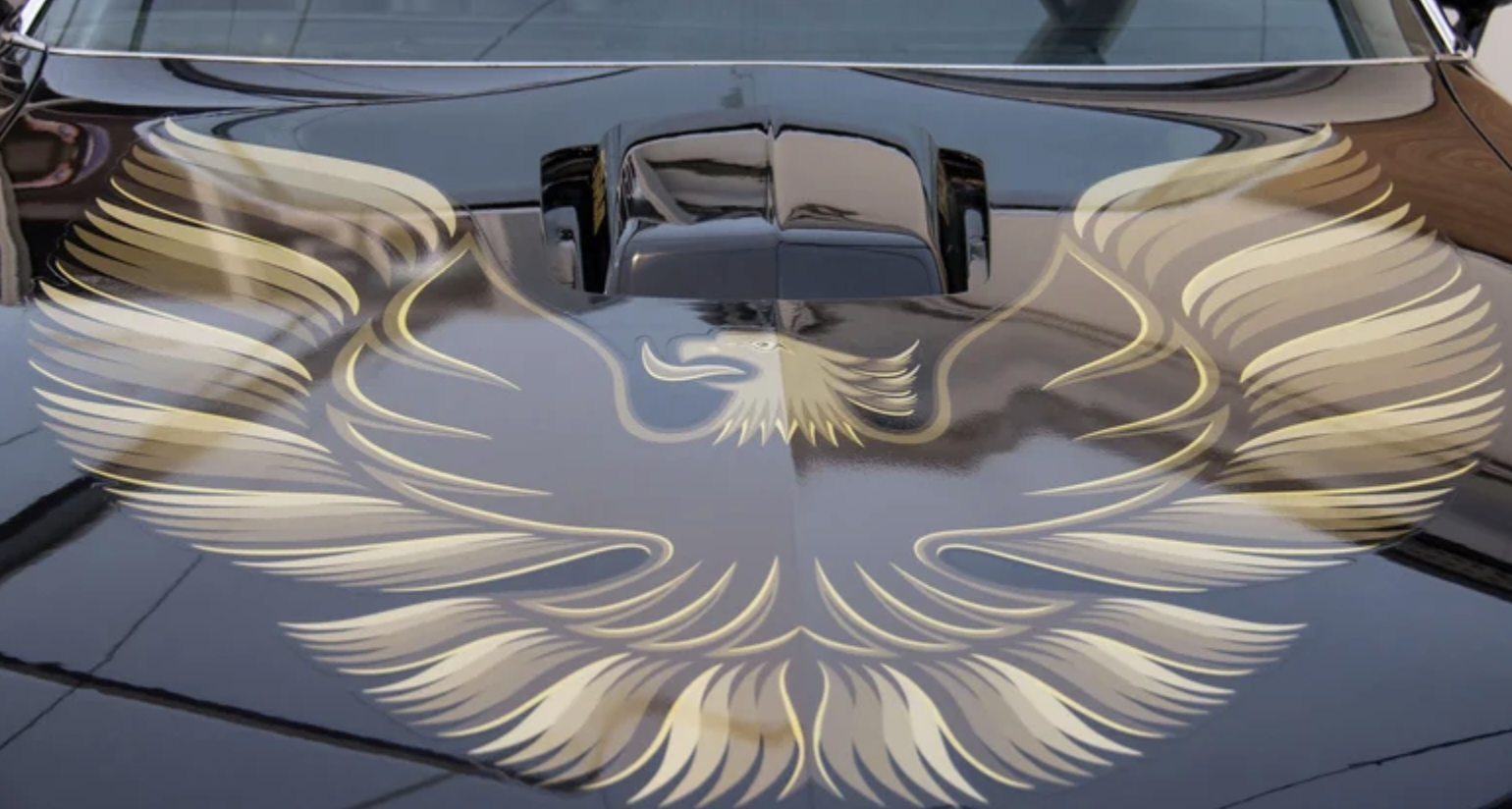 WHAT KIND OF BIRD IS ON THE PONTIAC FIREBIRD? THE HISTORY BEHIND THE ICONIC HOOD DECAL