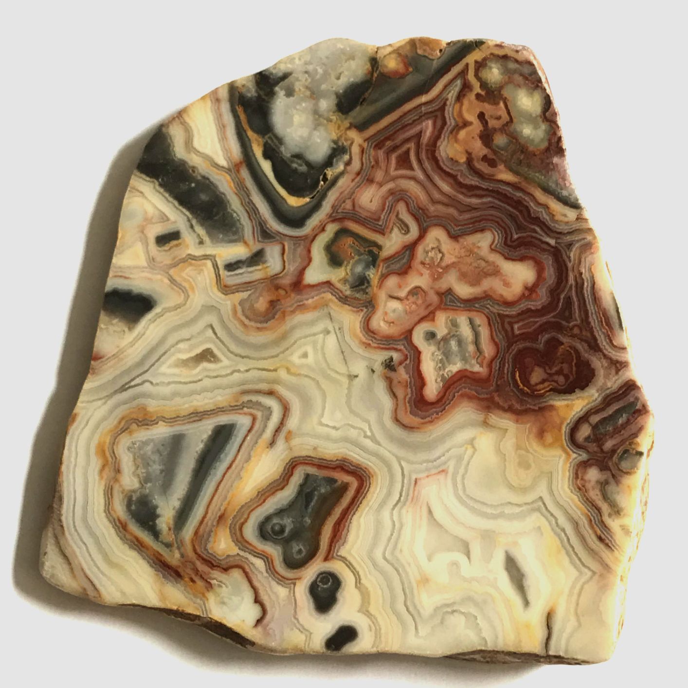 Crazy Lace Mexican Jasper Slice