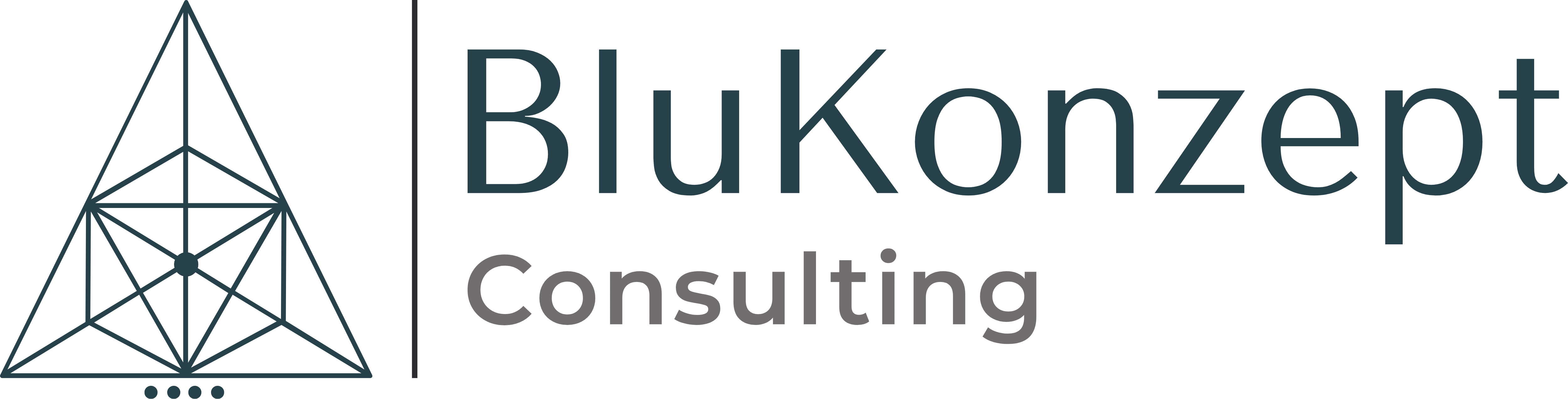 BluKonzept Consulting