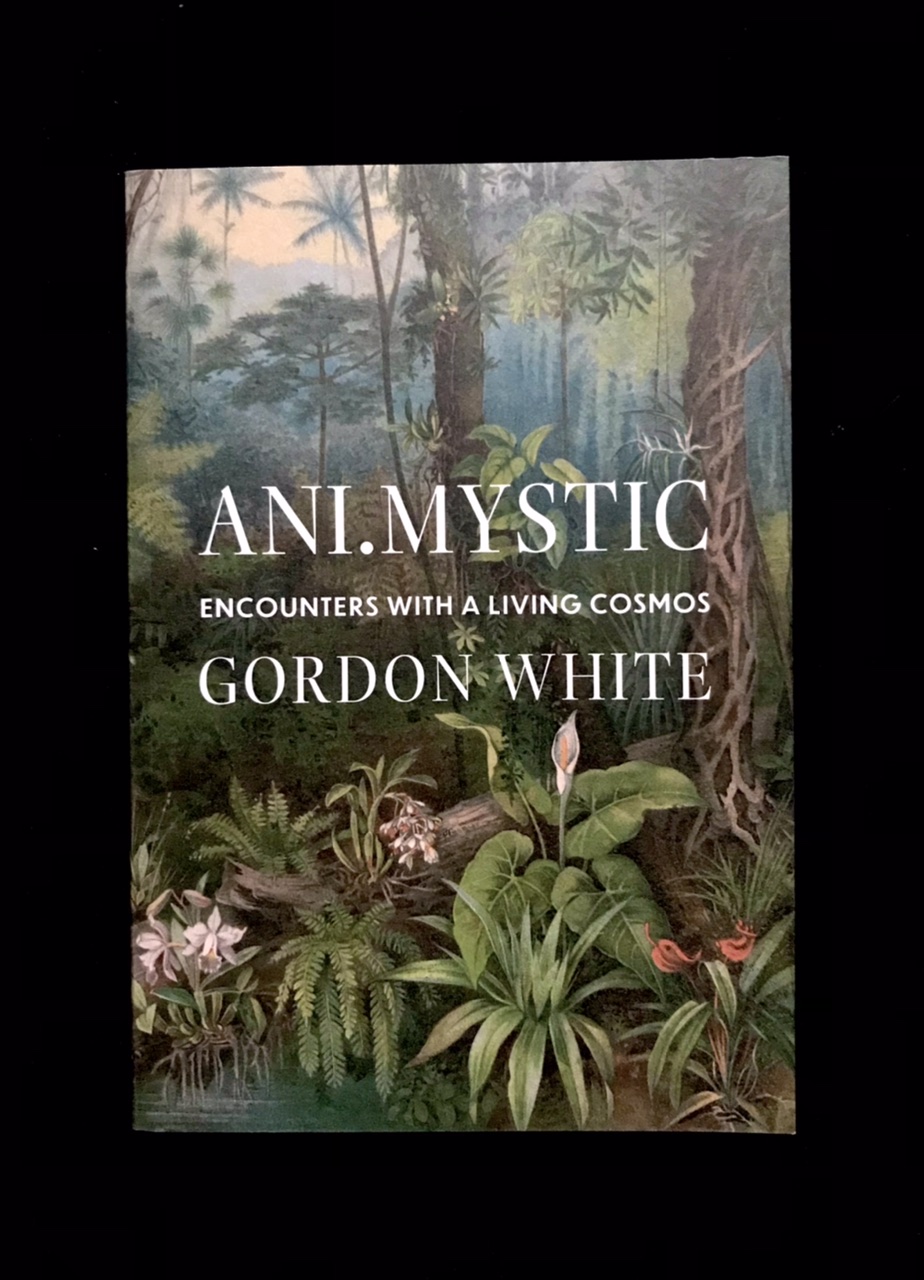 Ani.Mystic: Encounters with a Living Cosmos by Gordon White