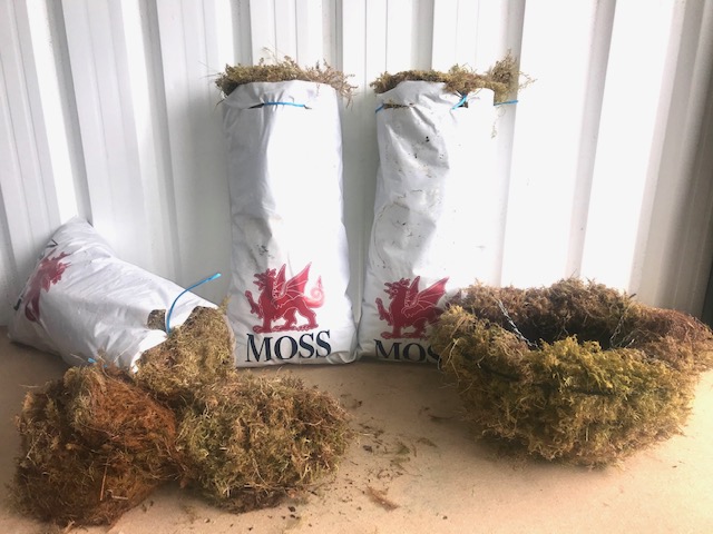 Moss for baskets and racks