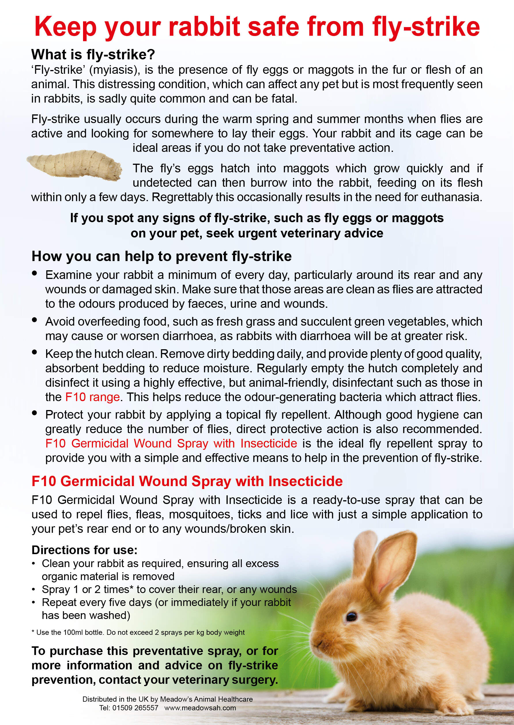 An image of the leaflet which is titled "Keep your rabbit safe from fly-strike"