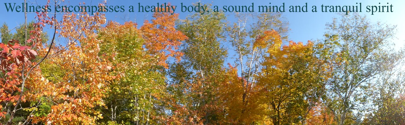 Wellness encompasses a healthy body, a sound mind and a tranquil spirit