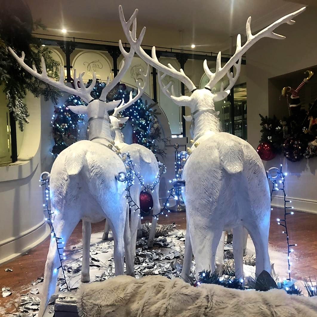 Cottons Hotel Knutsford, Visit Santa 2022