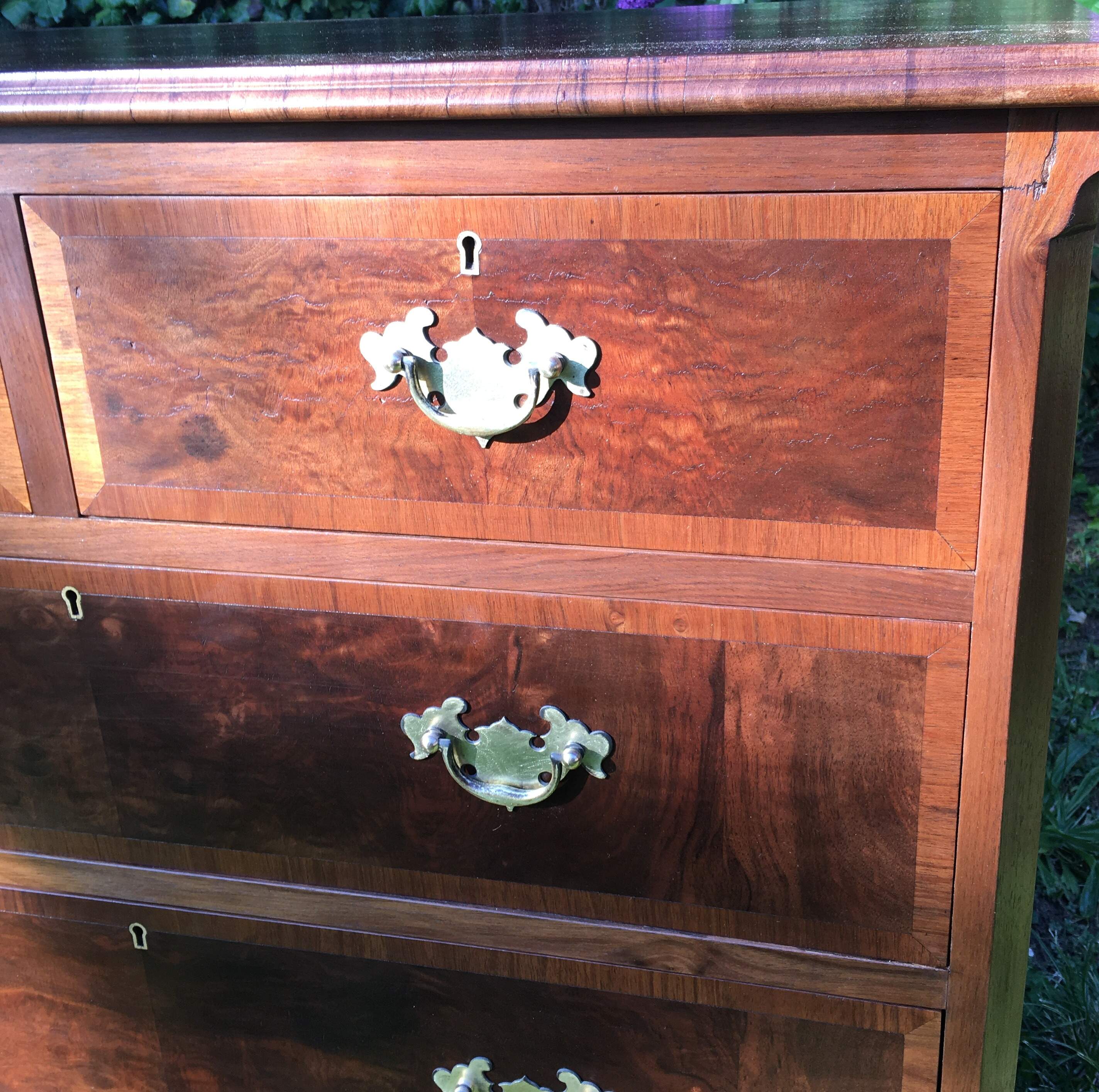 Early 20th Century Burr Walnut 36" Chest of Drawers