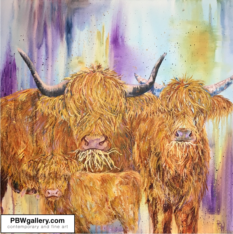 A family of Highland Cattle-a Highland cow, her bull and their calf