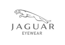 Grey white jaguar eyewear logo