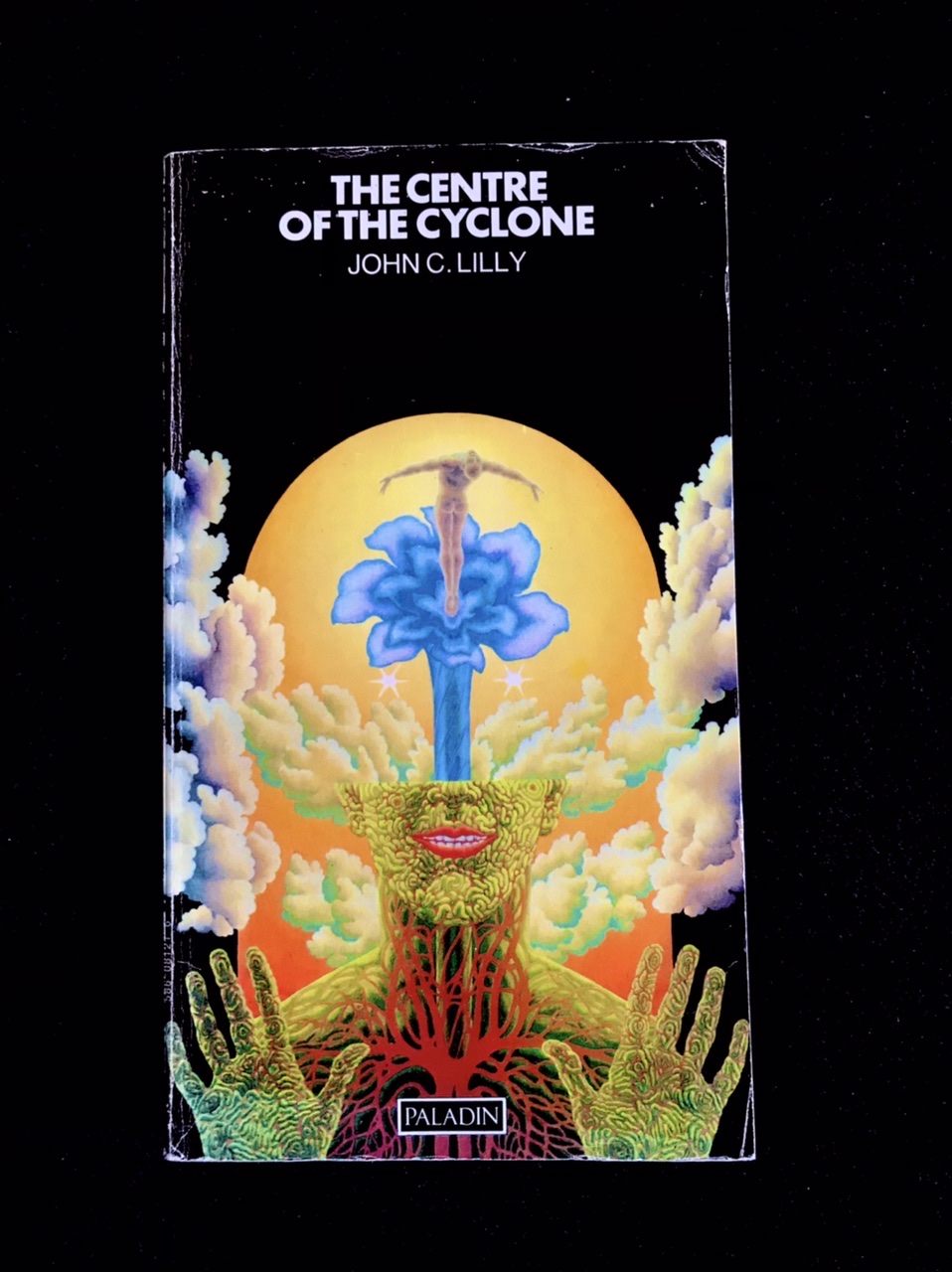 The Centre Of The Cyclone by John C. Lilly
