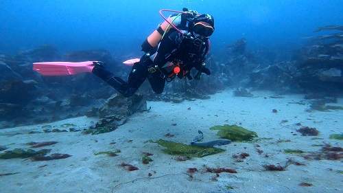 Alicia diving Church Bey Rathlin Island