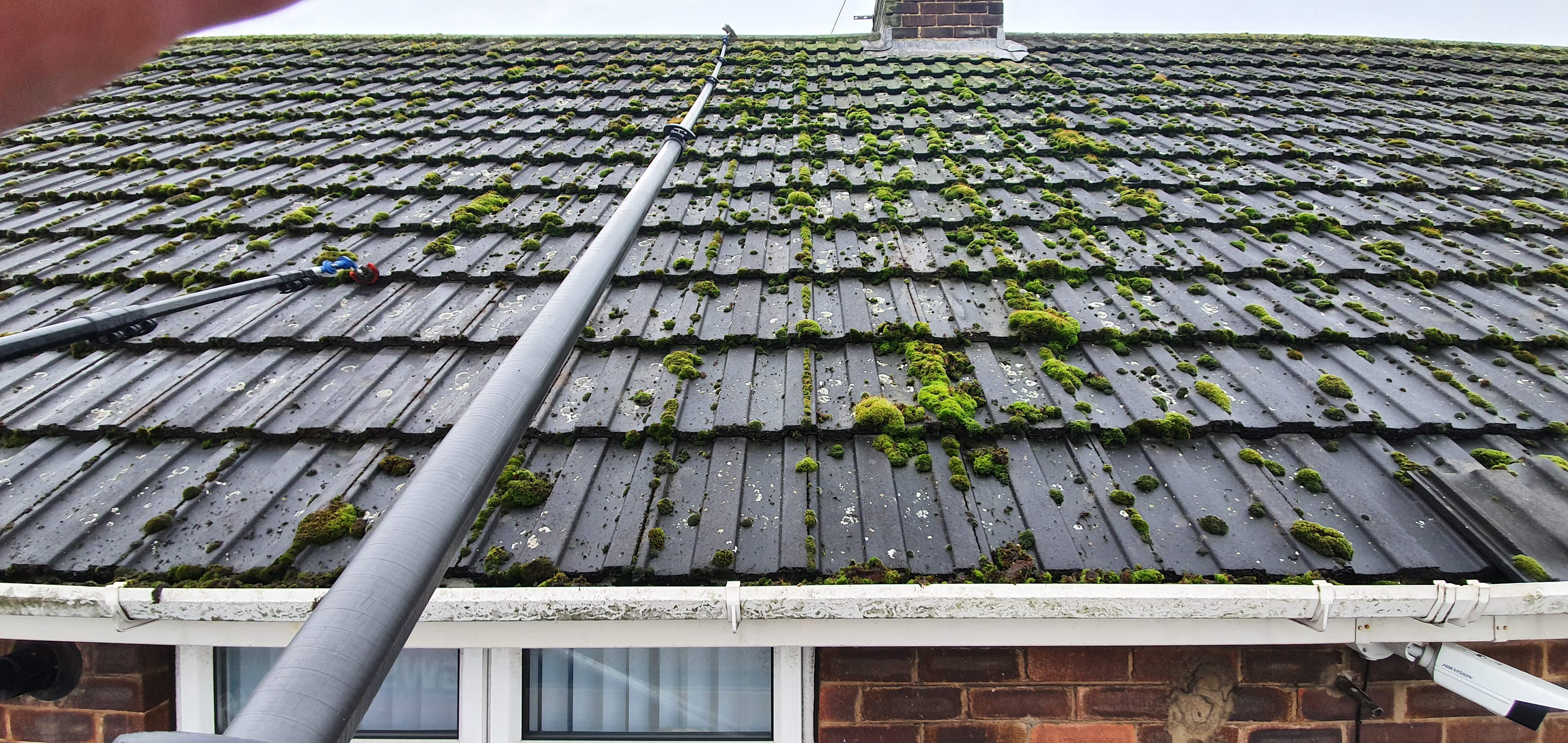 Roof cleaning - Moss Removal - Softwashing
