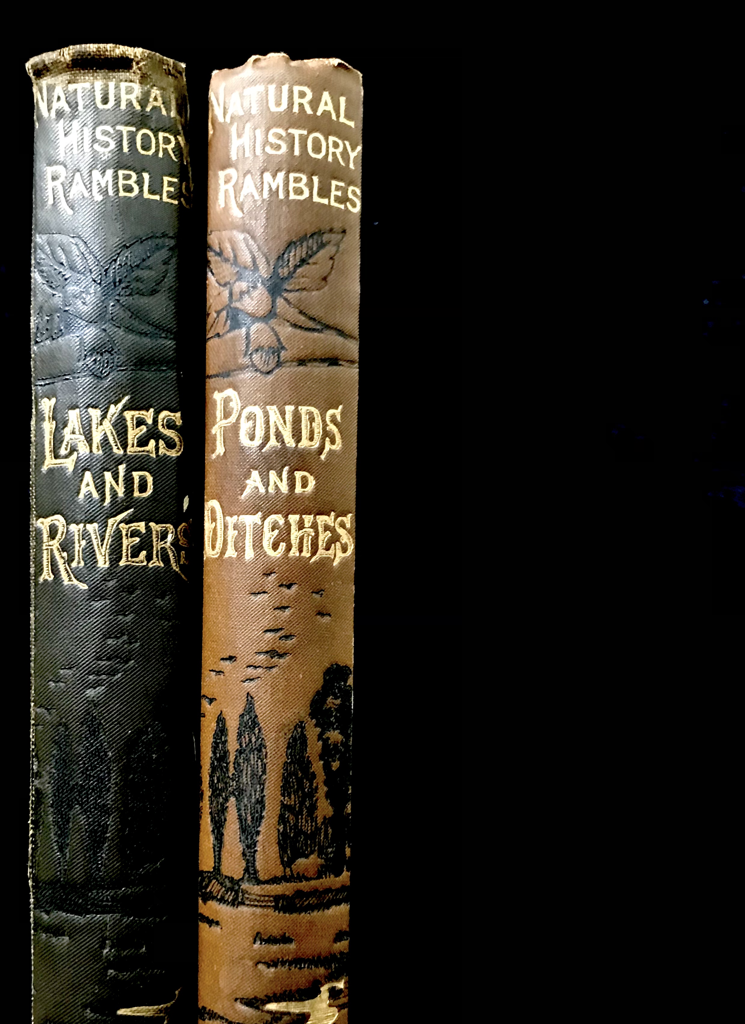 Natural History Rambles: Ponds & Ditches, Lakes & Rivers 2 Vol