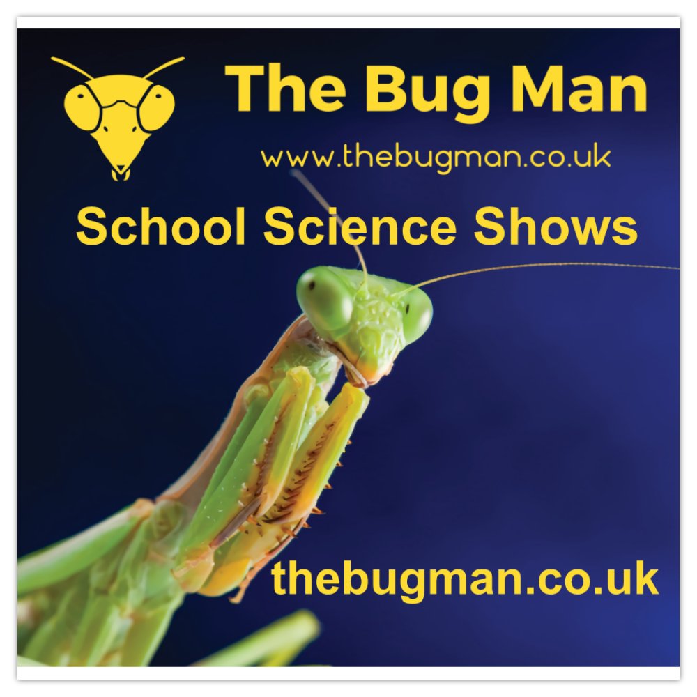 The Bug Man school science shows