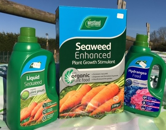 Westland Seaweed & Hydrangea Fertilisers
