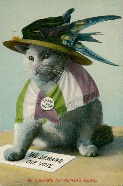 Anti suffragette posters - and how the tables were turned...