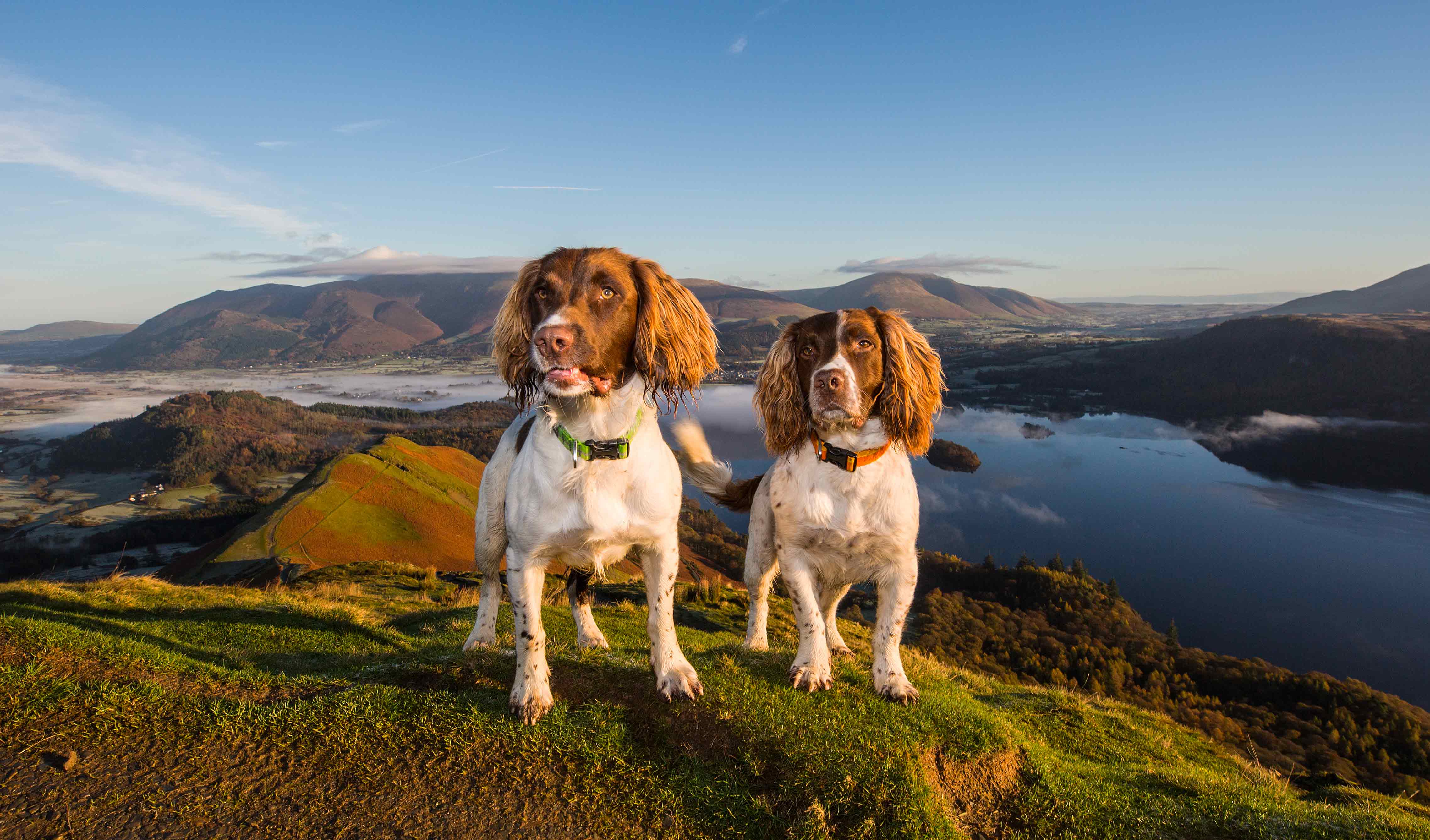 Max and Paddy Sunrise on Catbells
