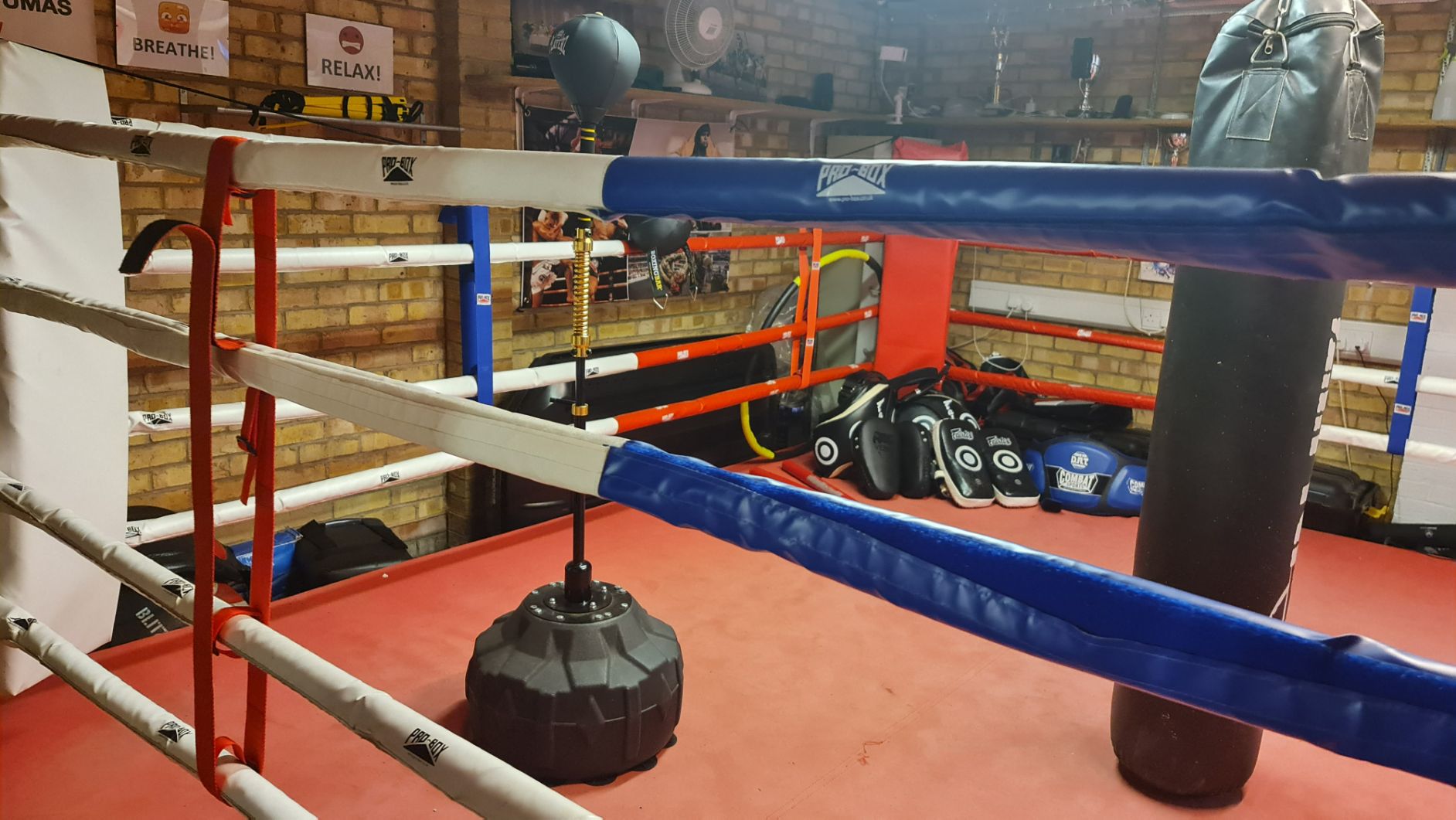 Some of the tools for use within the ring itself.