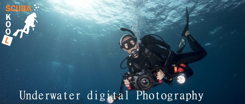 Digital underwater photography Northern Ireland