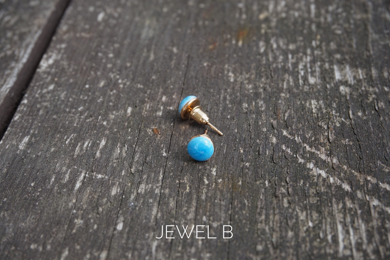 Ocean Collection - Sea Jewels