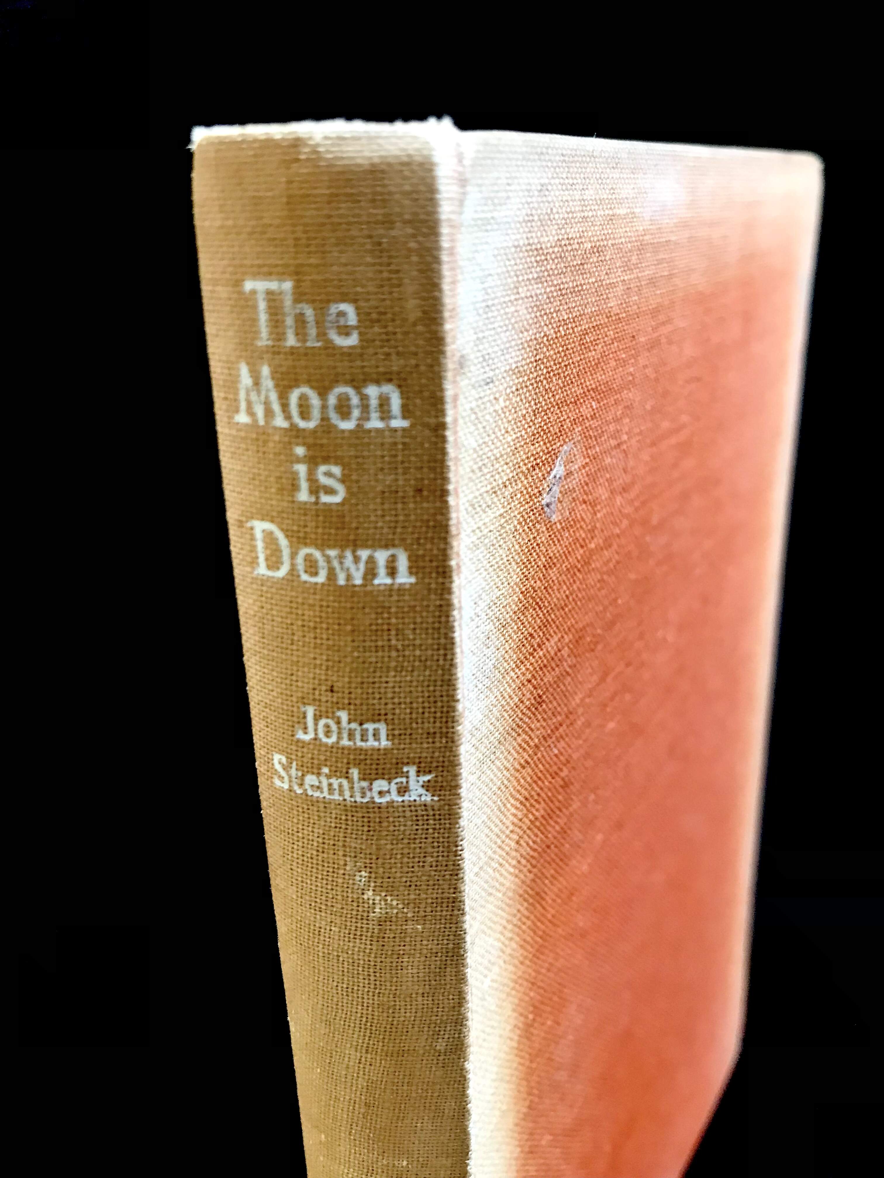 The Moon Is Down by John Steinbeck