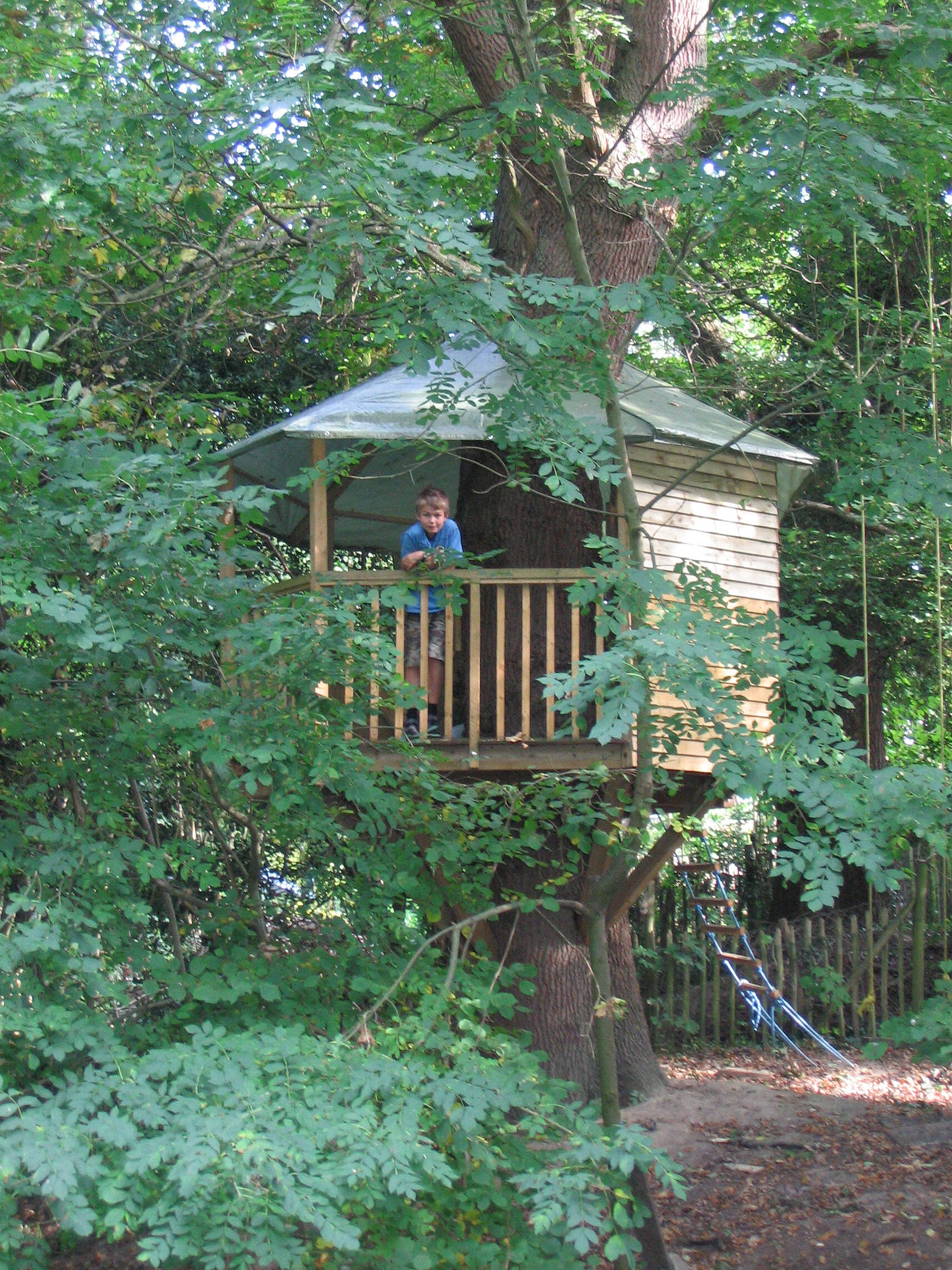 Construction of a children's tree house