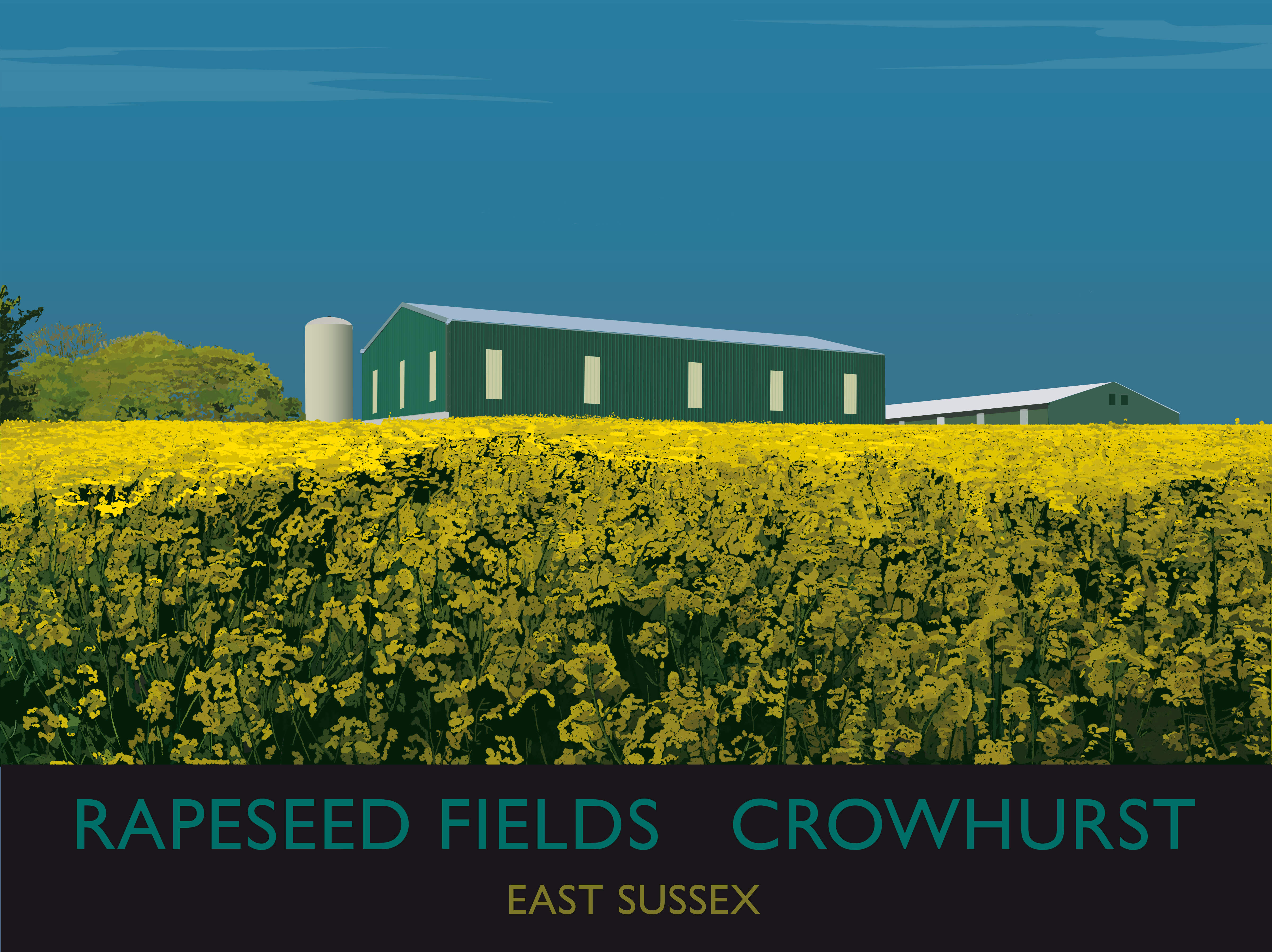 Rapeseed Fields Crowhurst, East Sussex