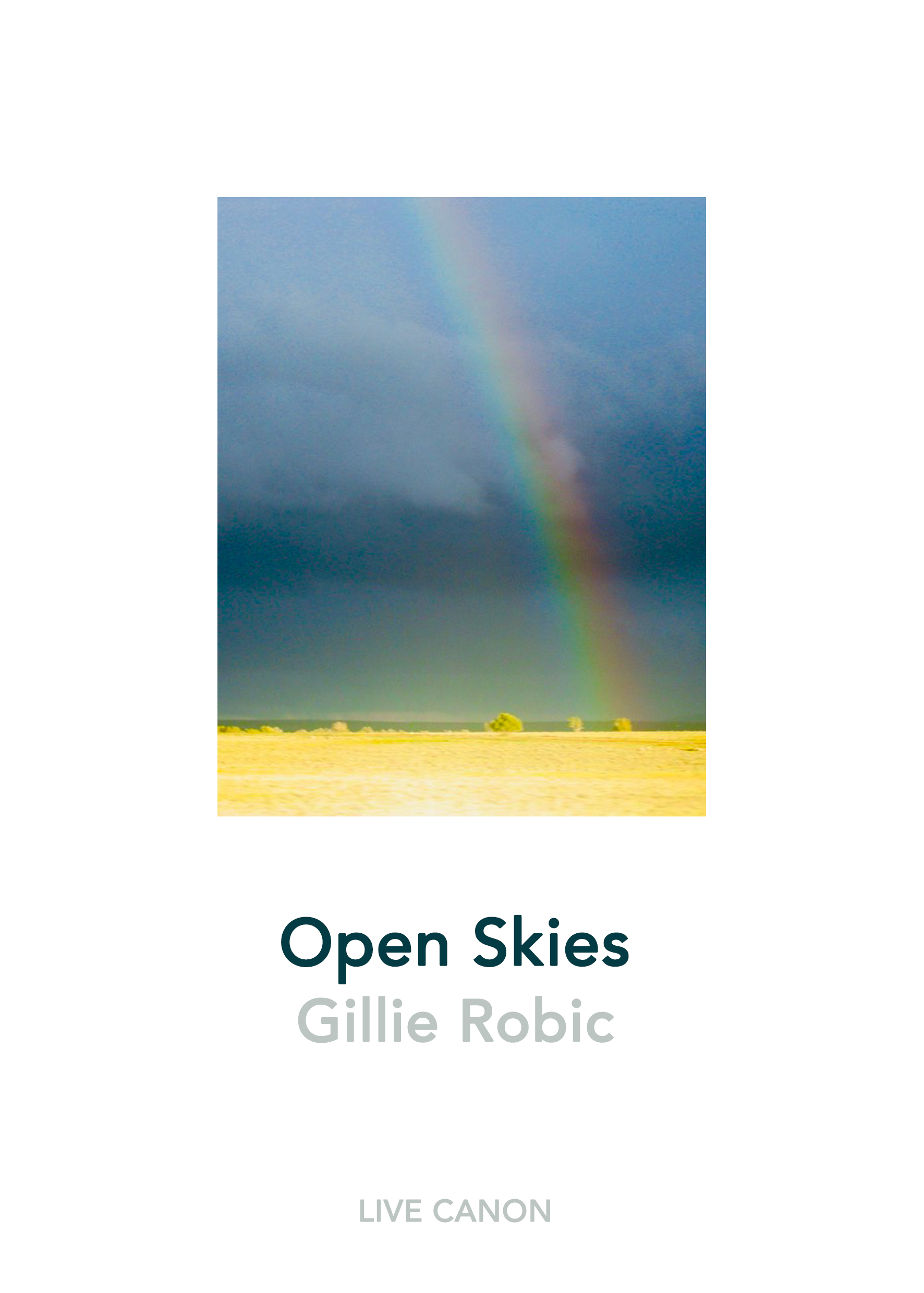 Open Skies - Gillie Robic