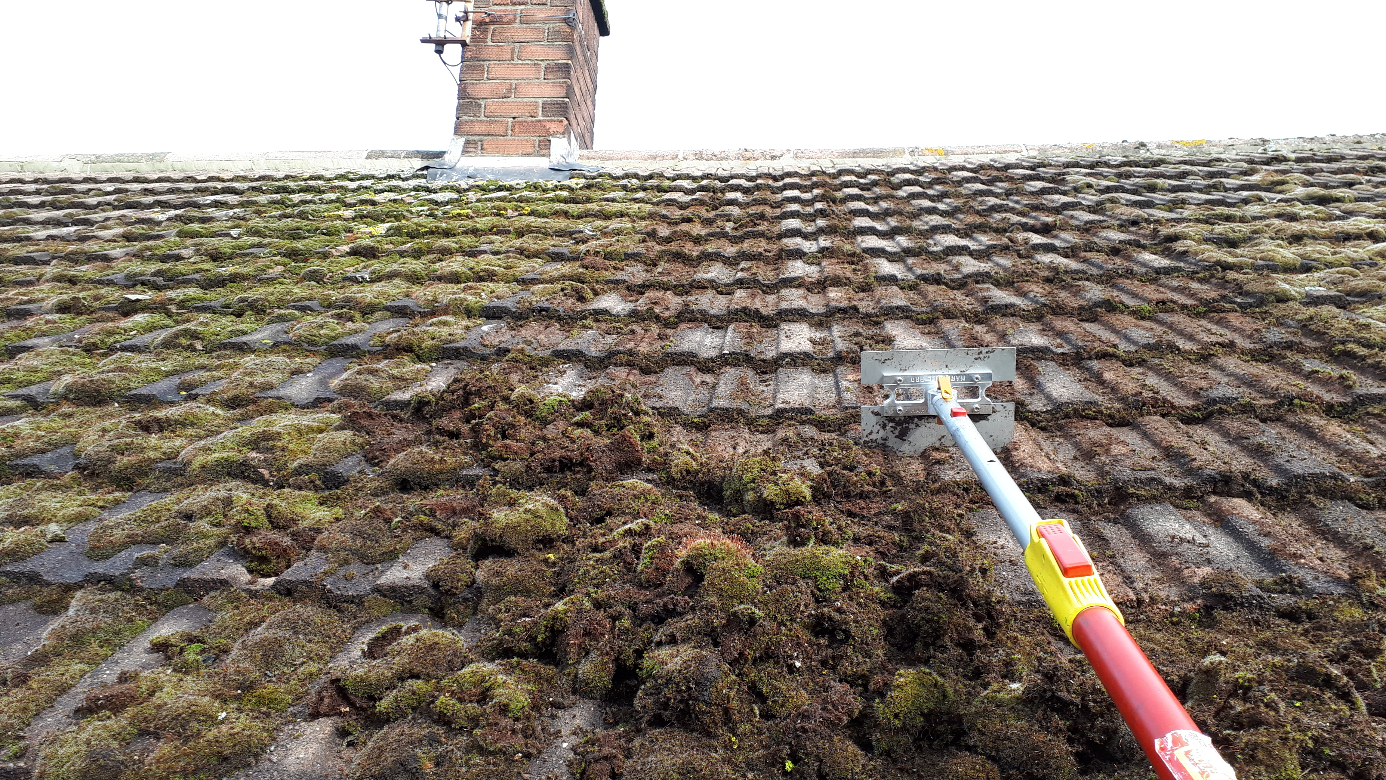 Roof Moss Removal - Scunthorpe