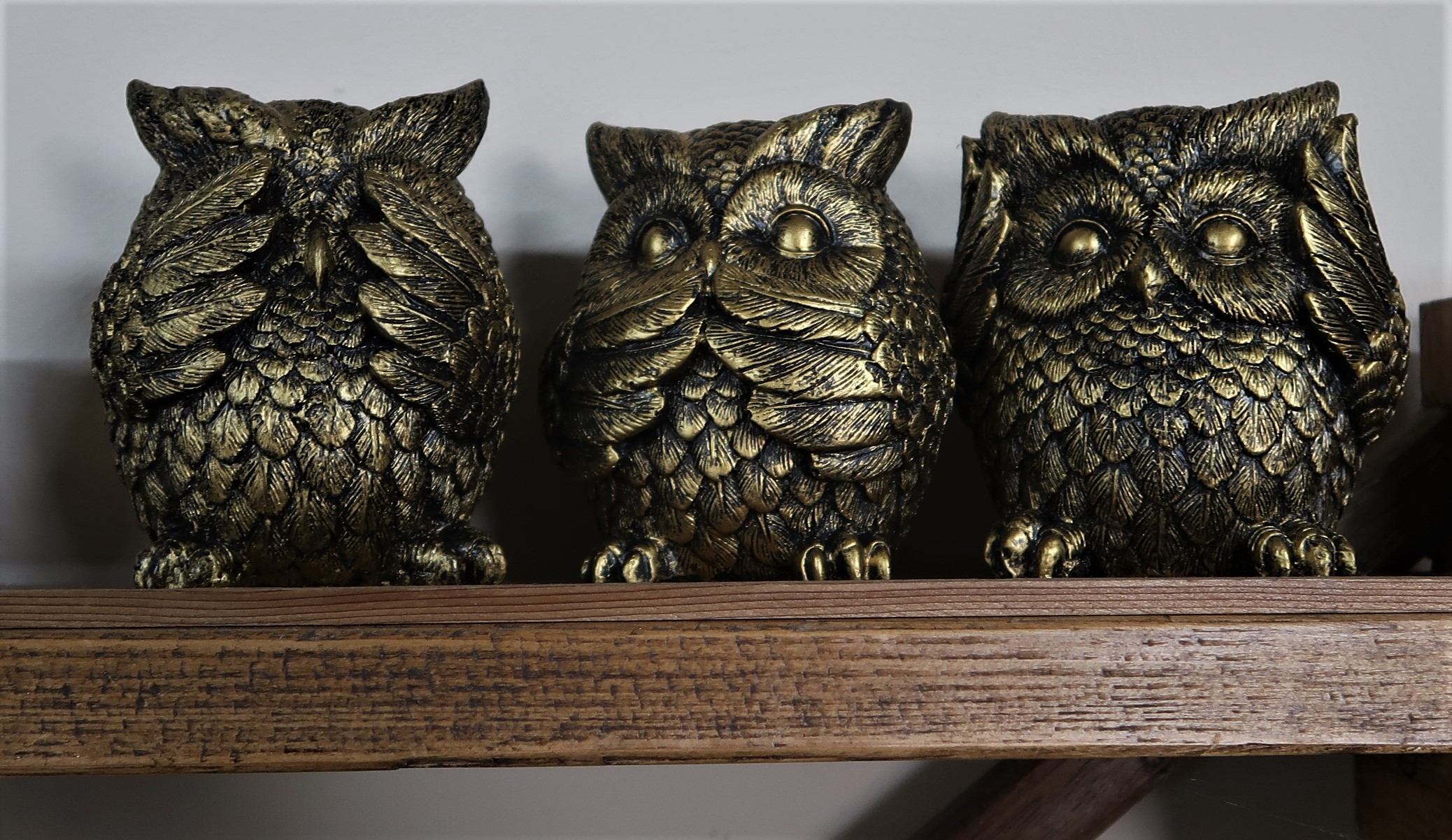 Three wise gold owls