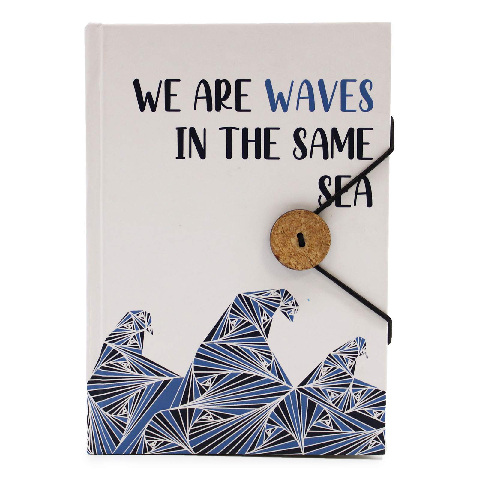 Notebook - Waves in the same sea
