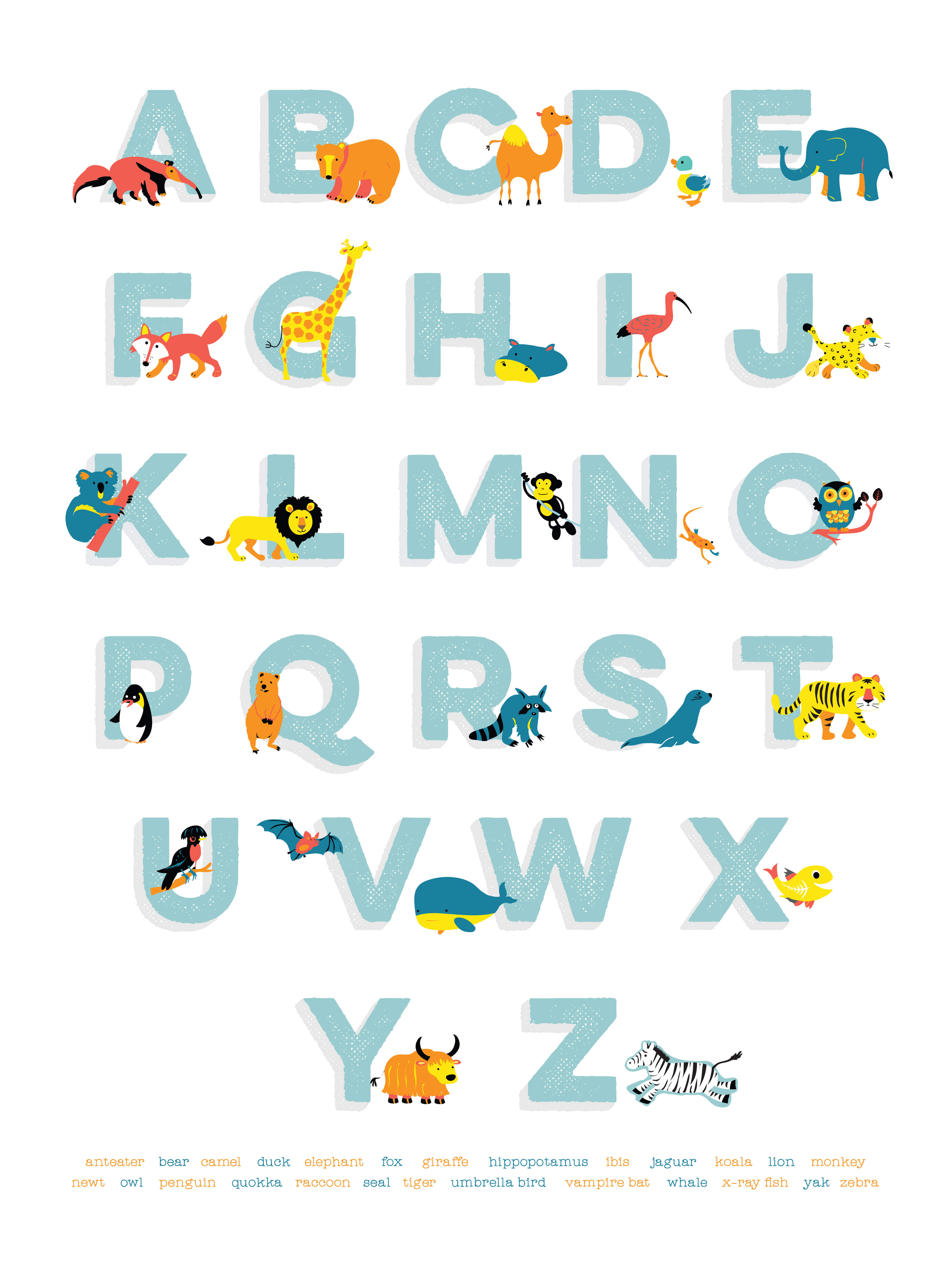 Animal Alphabet : Full Colour