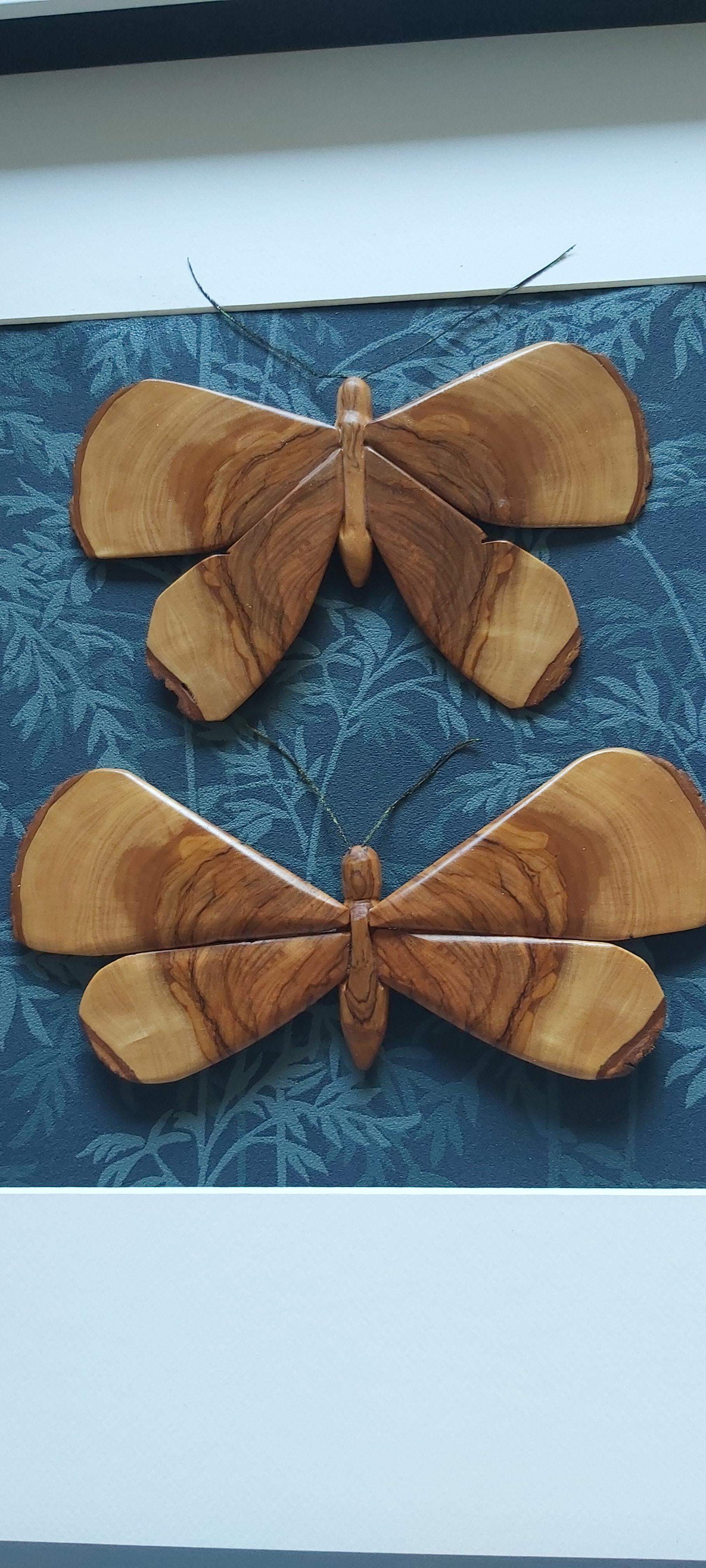 Olive wood moth duo