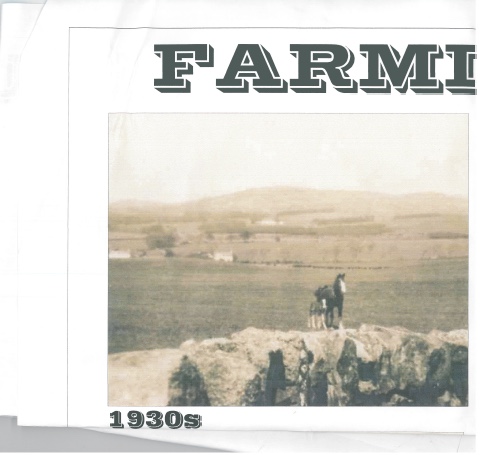Farming in the 1930s showing a horse on the farm