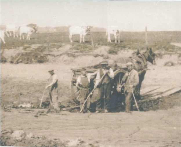 Farm workers in the fields with a horse and cart