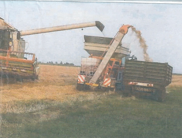 Harvesting at Kirkbean