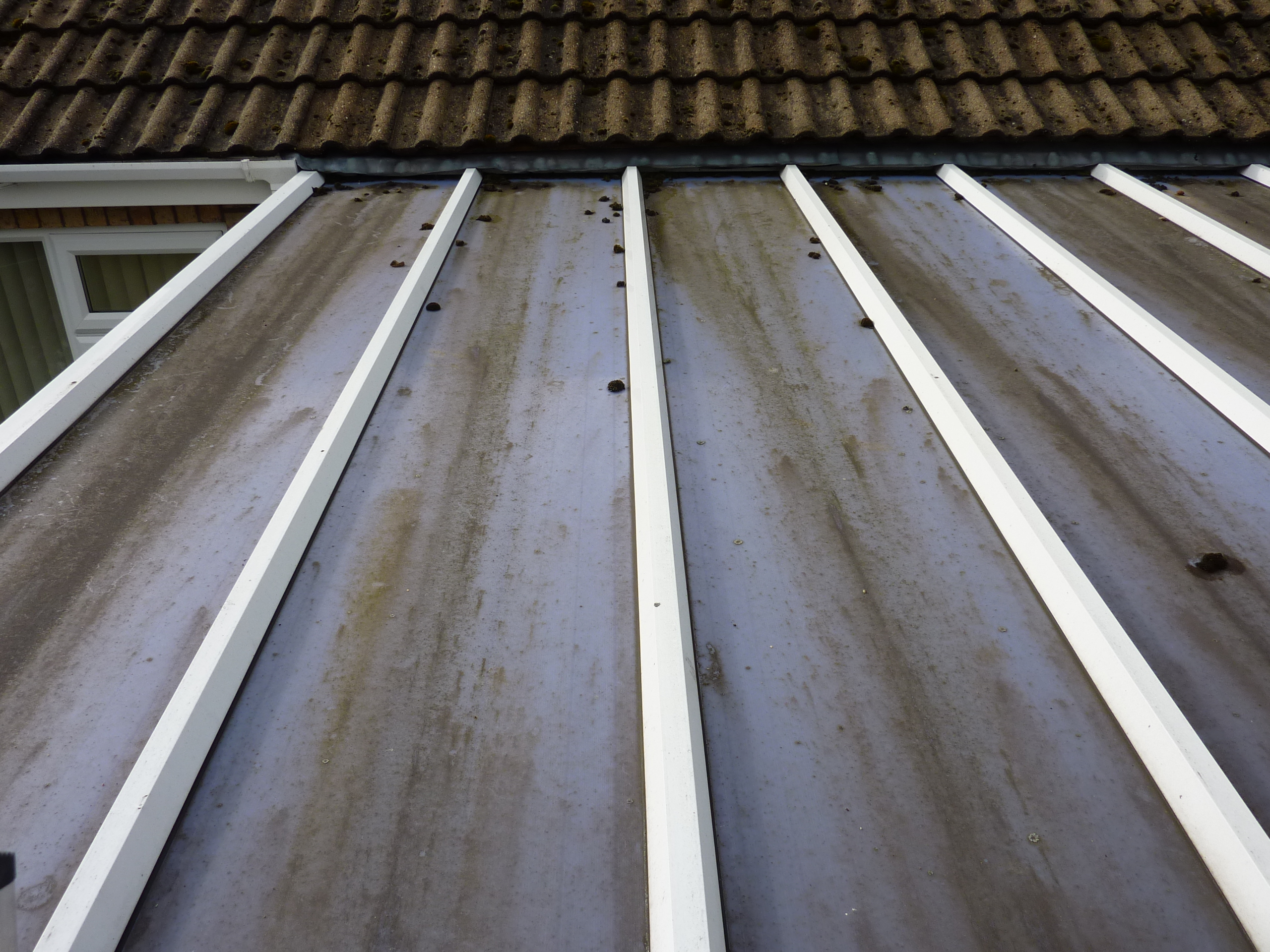 conservatory roof Cleaning - Moss Removalmber