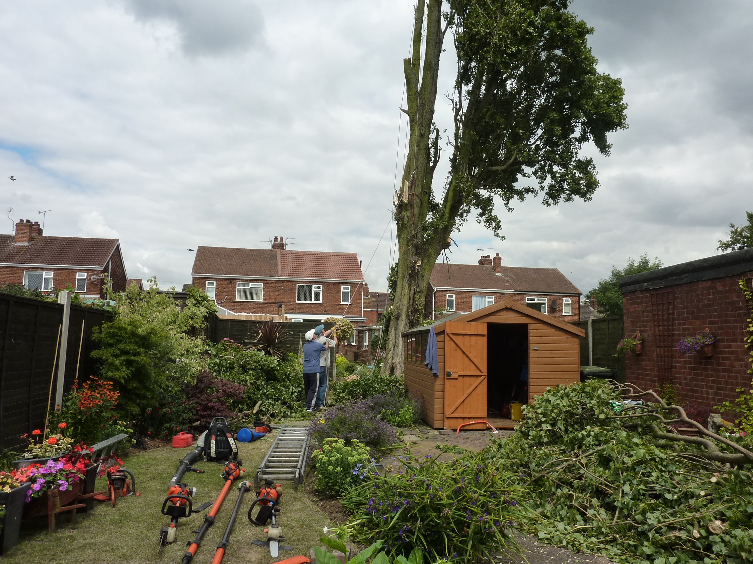 tree branch removal scunthorpe