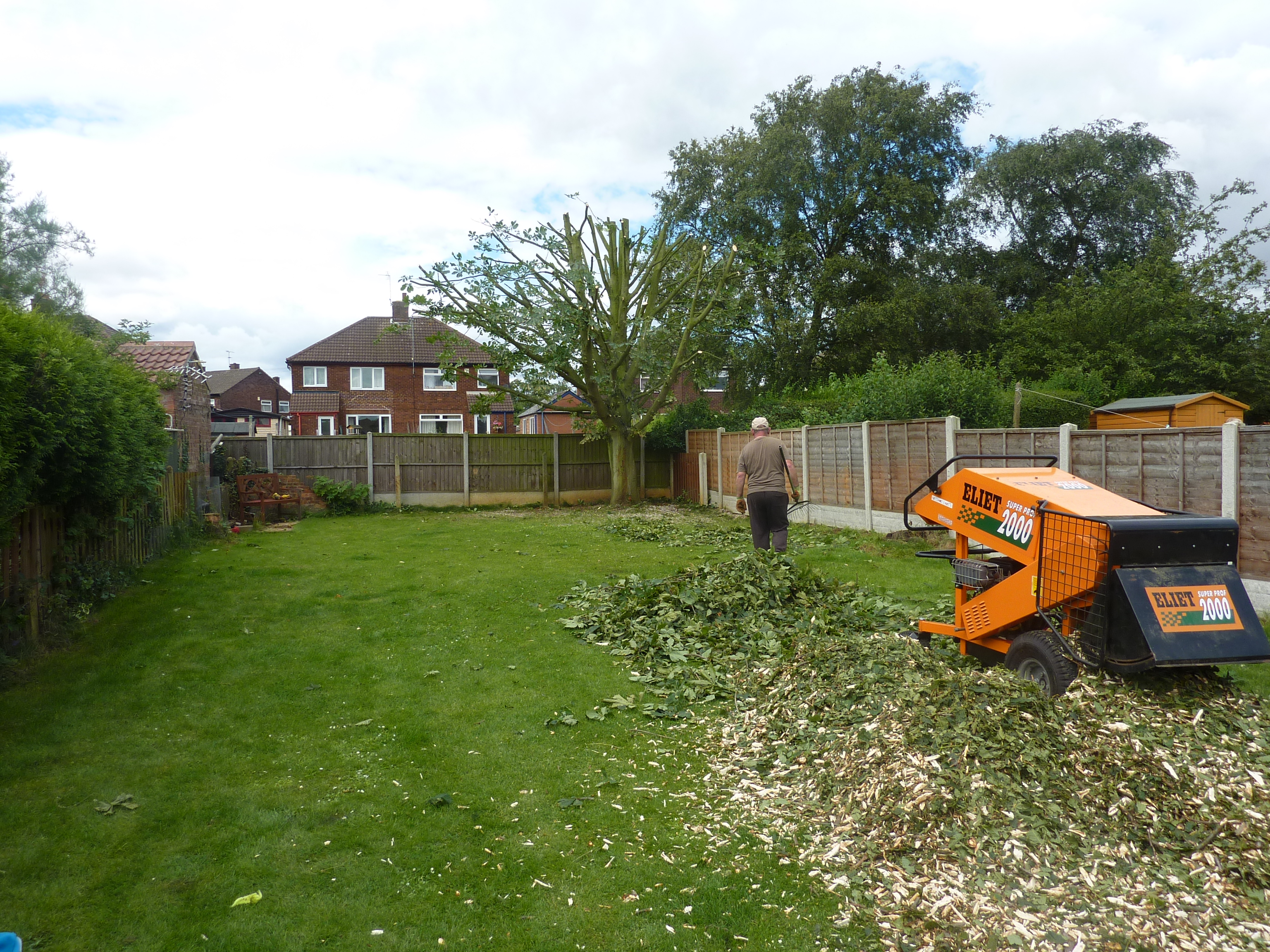 tree work reduction scunthorpe area
