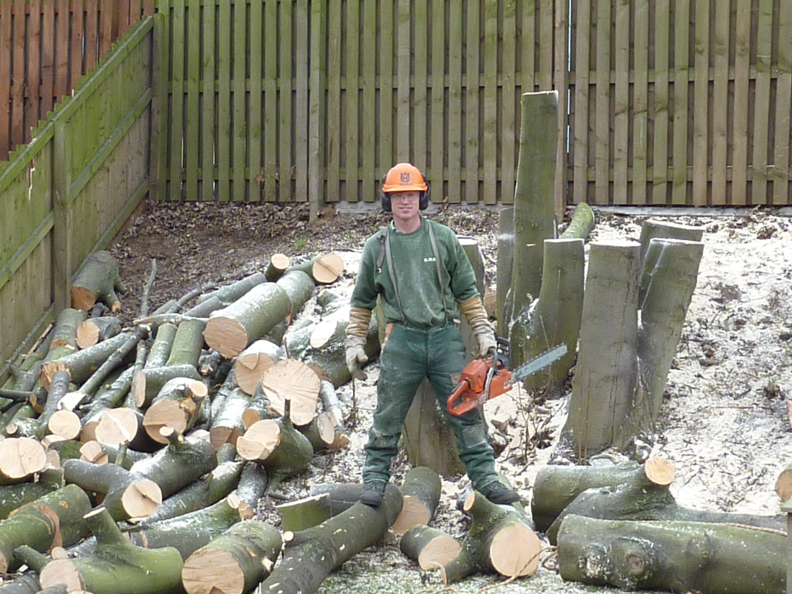 logs from tree north lincolnshire